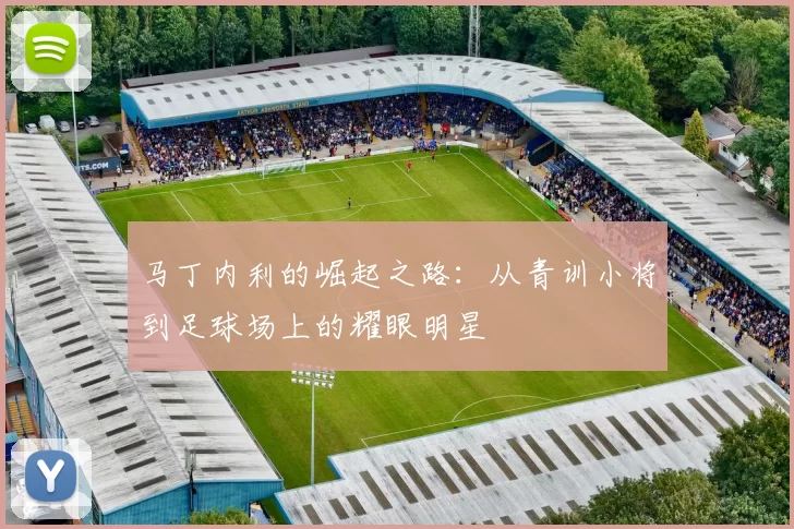 马丁内利的崛起之路：从青训小将到足球场上的耀眼明星