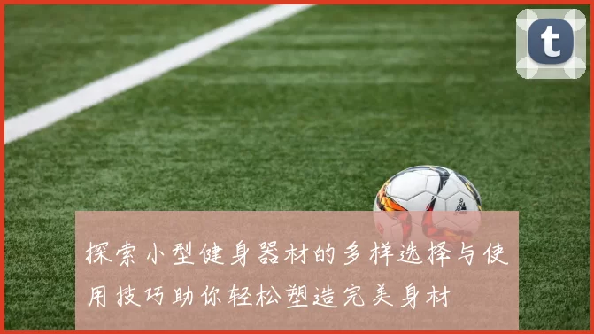 探索小型健身器材的多样选择与使用技巧助你轻松塑造完美身材