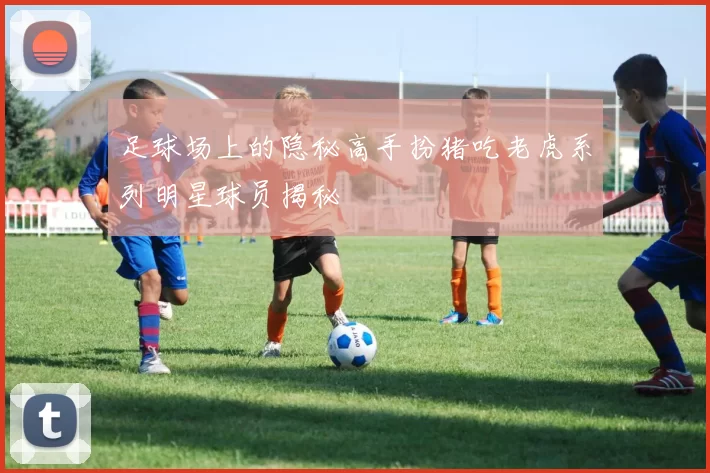 足球场上的隐秘高手扮猪吃老虎系列明星球员揭秘